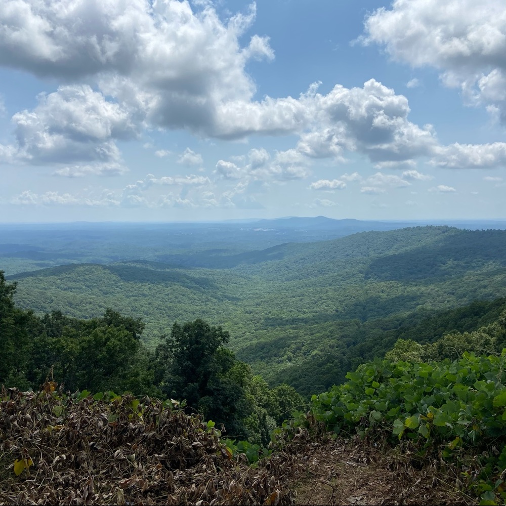 Meet your Posher, Lanell